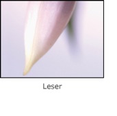 Leser